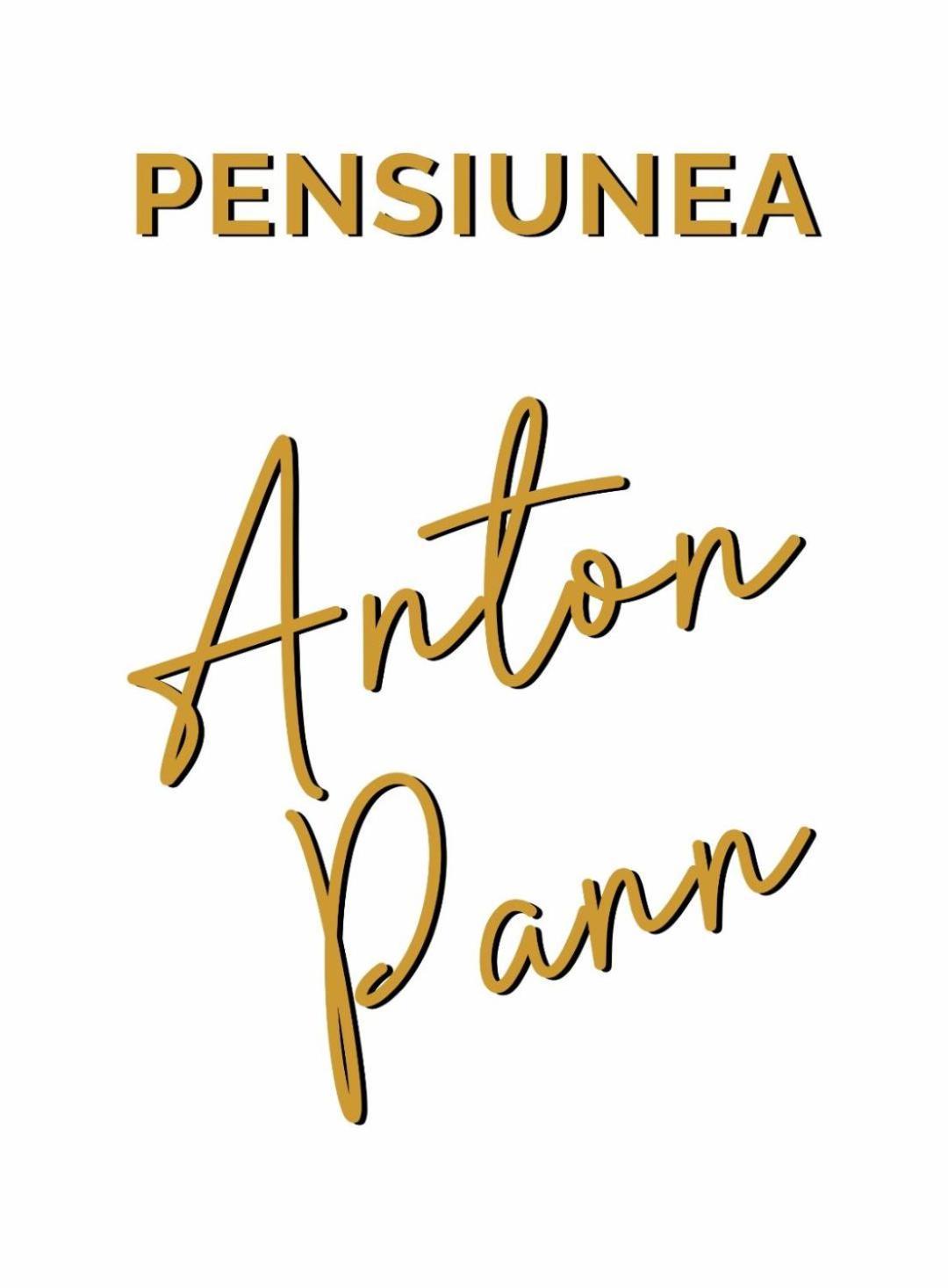 Pensiunea Anton Pann Sibiu Extérieur photo